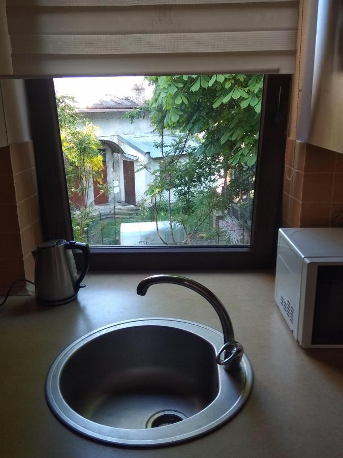 לבוב Mangal And Terrace In Center Apartment מראה חיצוני תמונה